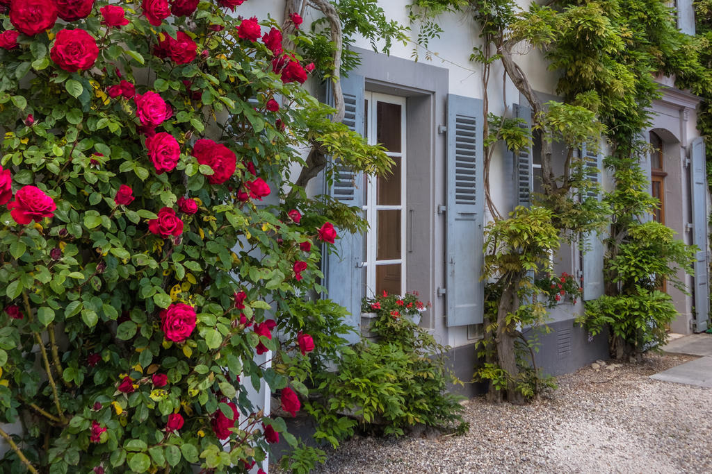 Château de Bossey Bogis-Bossey Exterior foto